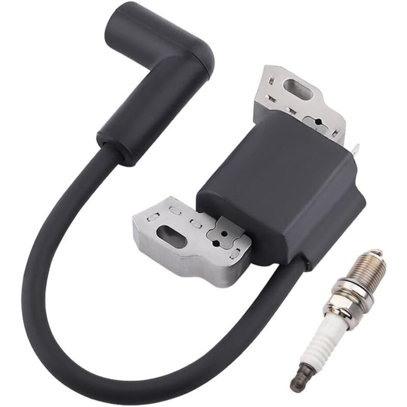 Bobine d'allumage de rechange pour moteurs 799582 798534 593872 595009 596532