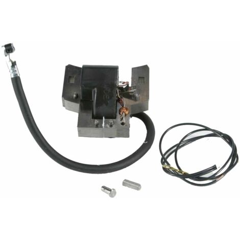 Bobine d'allumage électronique compatible avec l'ancien moteur Briggs & Stratton 5 HP
