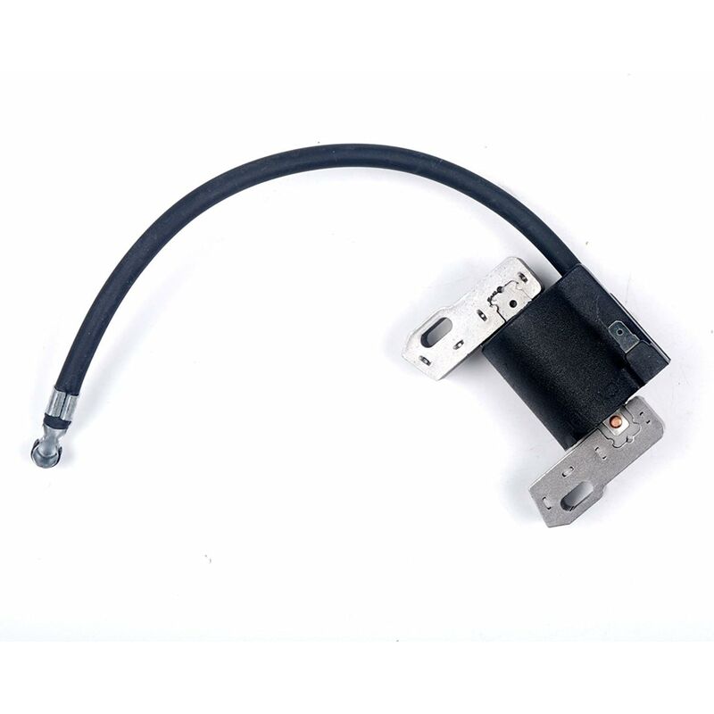 S-giant - Bobine d'allumage électronique pour Briggs & Stratton 715231 799650 795315 690248 Armature