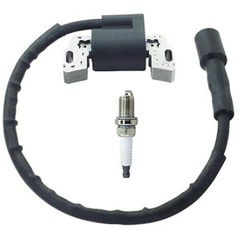 Bobine d'allumage haute tension compatible avec 594626 594456 795315 592841 avec bougie d'allumage