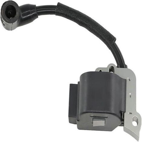 Bobine d'allumage haute tension compatible avec 753-04324 316794790 316794791