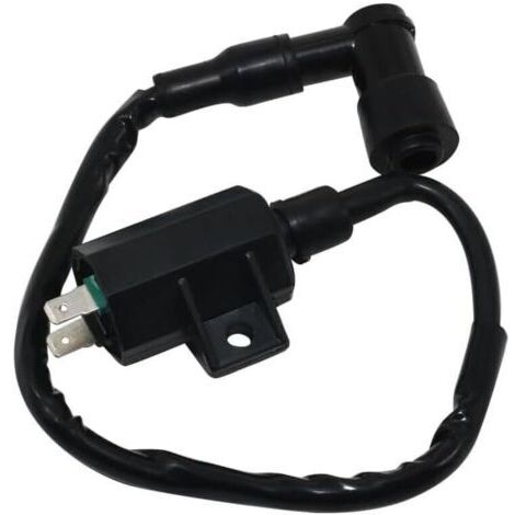 Bobine d'allumage haute tension compatible avec/remplacement pour Kaawwaassaakkii ATV 21121-1160 21121-1198 KLF220