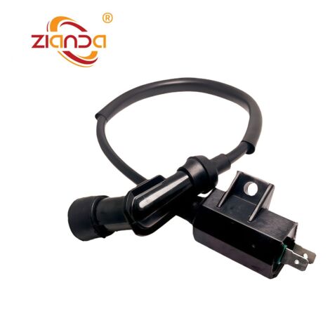 Bobine d'allumage haute tension pour moto, compatible avec les quads/SSV Suzuki LT-F250 Ozark 250 de 2014