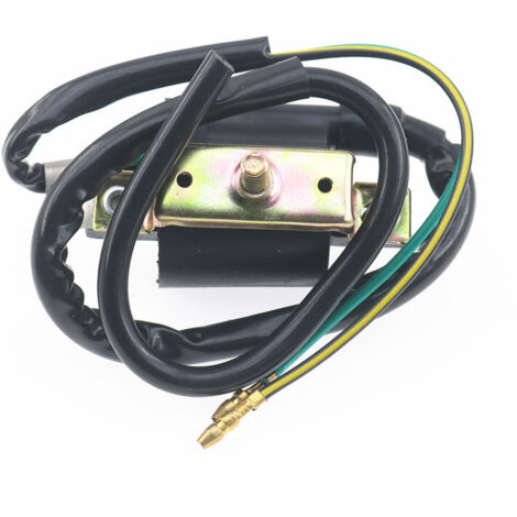 Bobine d'Allumage Haute Tension pour Moto JH70 DY100 - Compatible avec Scooter 100cc Jialing - Bobine HT de Rechange pour Système d'Allumage Moteur