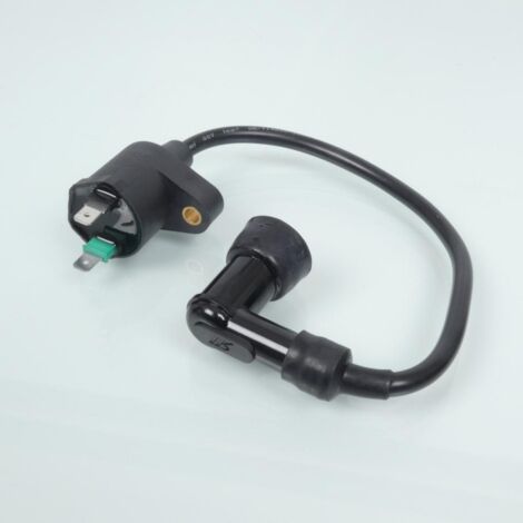 Bobine HT (Haute Tension) Pour Piaggio Typhoon 50 - 1998 Neuf Générique