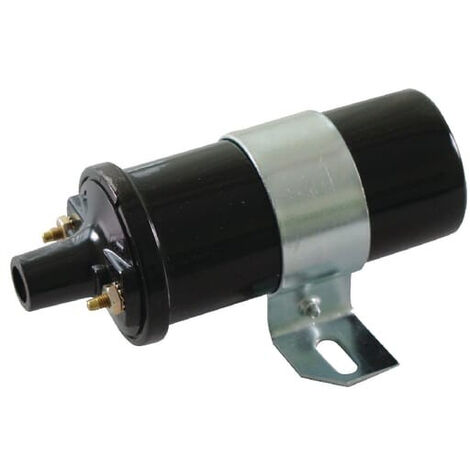 Bobine d'allumage KOHLER 4151921S