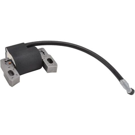 Bobine d'allumage origine compatible avec moteur Briggs 592445