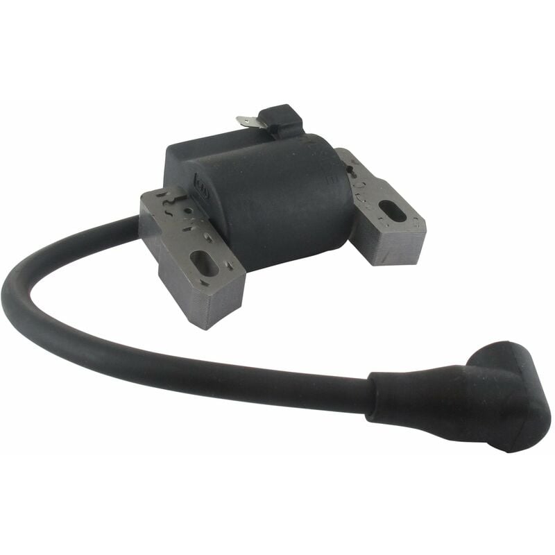 Bobine d'allumage pour BRIGGS ET STRATTON 590454
