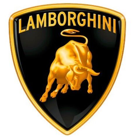 Bobine d'allumage pour débroussailleuse compatible LAMBORGHINI 1P64F