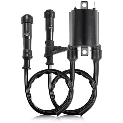 Bobine d'allumage pour Honda ACE 750 VT750 (1998-2003), référence 30510-MM8-003, haute qualité et installation facile.