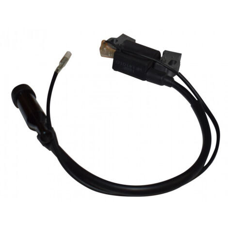 Bobine d'allumage pour moteur HONDA GX120-160-200