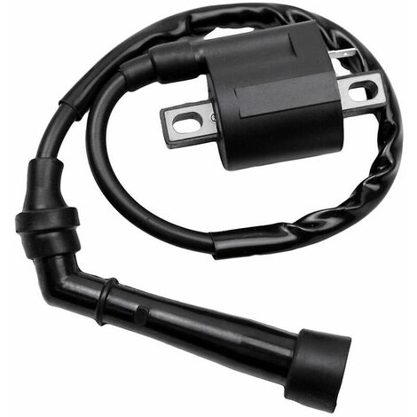Bobine d'allumage pour Yamaha Grizzly 660 Yfm660 350 02-08 Bear Tracker