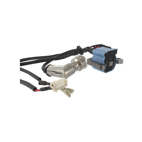 Bobine D'allumage Remplace 300191ce, 300472e Pour Moteur Viper Adaptable Sur Tarière Earthquake E43ce.