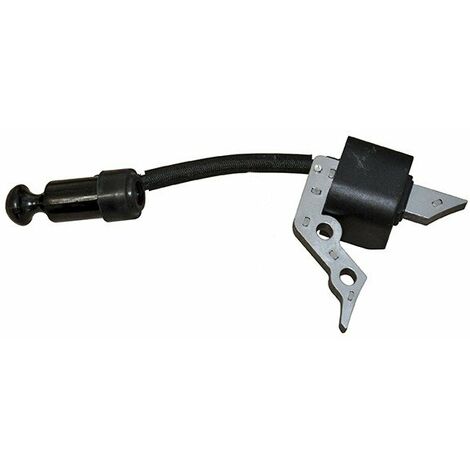 Bobine D'allumage Trex - Loncin Pour Moteur Y100v. Origine Y1b20000000.