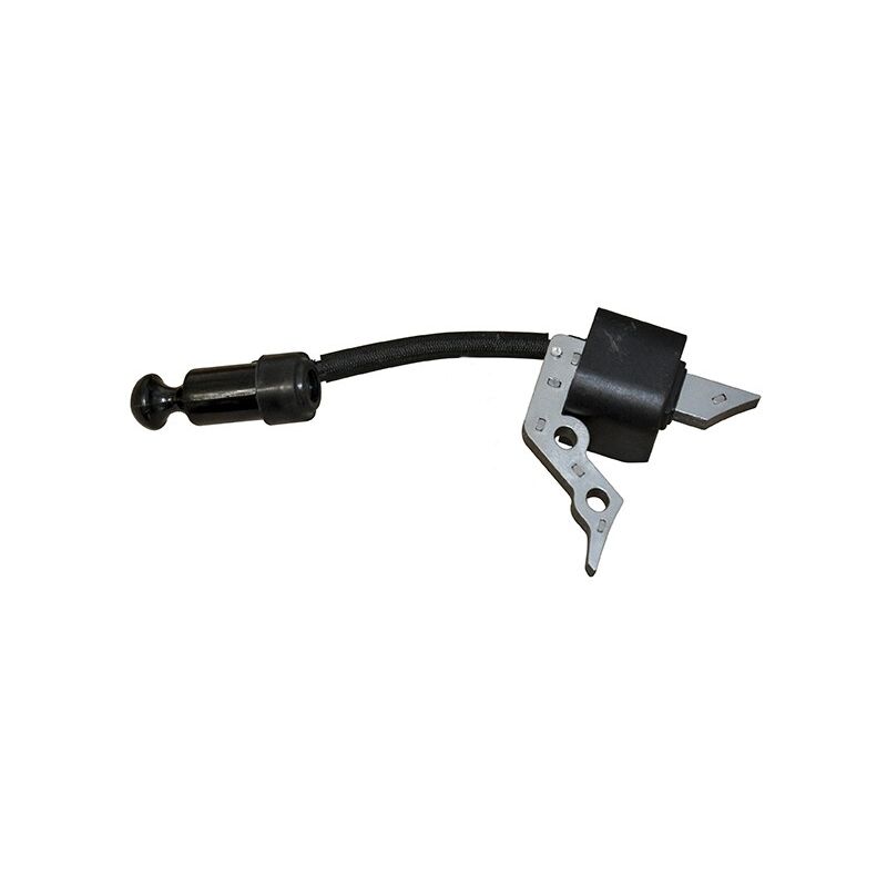 Bobine d'allumage TREX,LONCIN Y1B20000000
