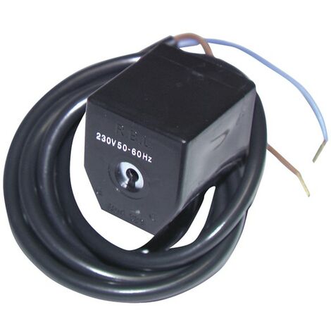 Bobine électrovanne rl38 - RIELLO : 3003828