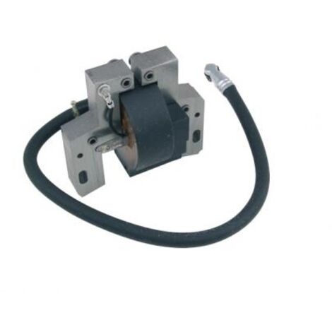 Bobine moteur tondeuse BRIGGS & STRATTON 40N877 44U877 499447 592846