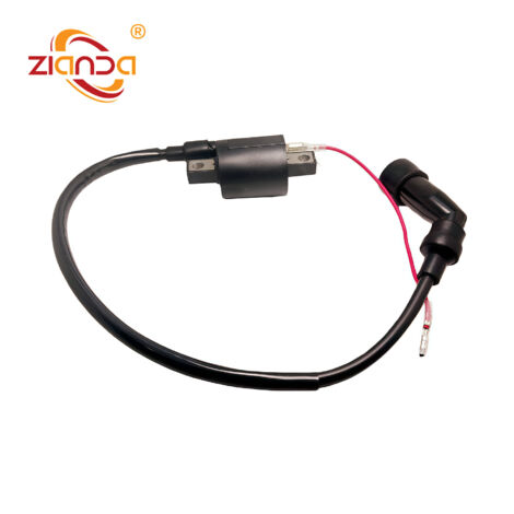 Bobines d'allumage pour motos compatibles avec les modèles 1UY-82310-41-00 YFM250, YFM200DX et YFM350X.