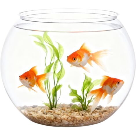 Bocal PoissonRsistant Chocs Petit Rcipient Bol Planter avec