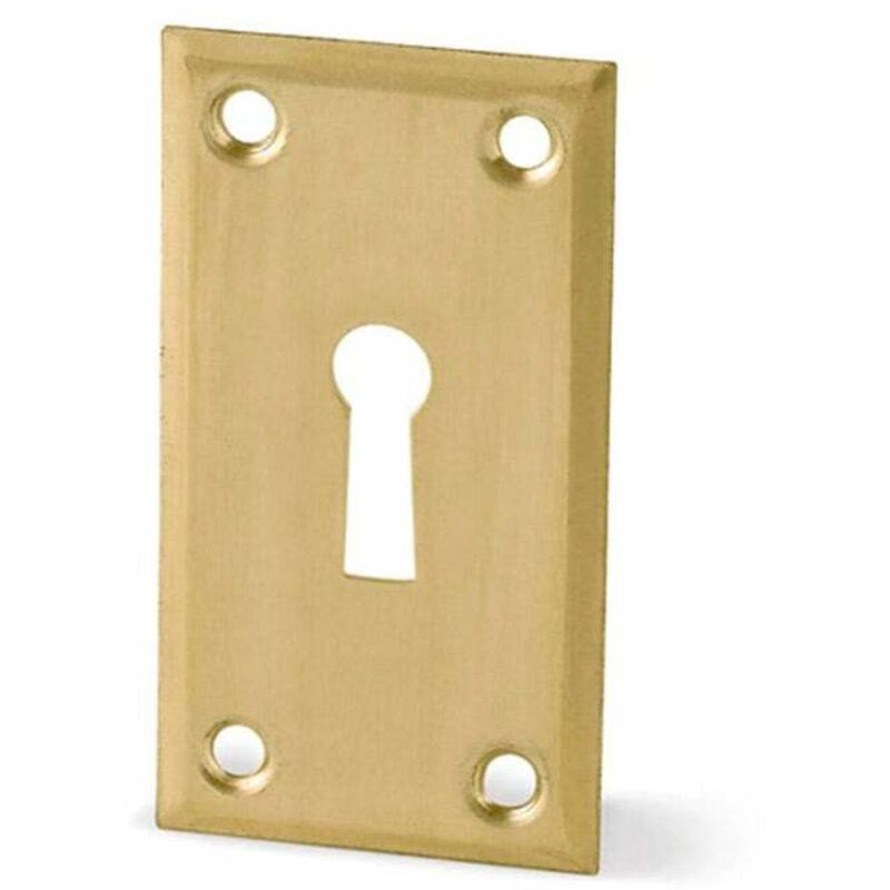 

Bocallave Monvado Borja R/326-L Modelo Chapa Lat - Latón Mate