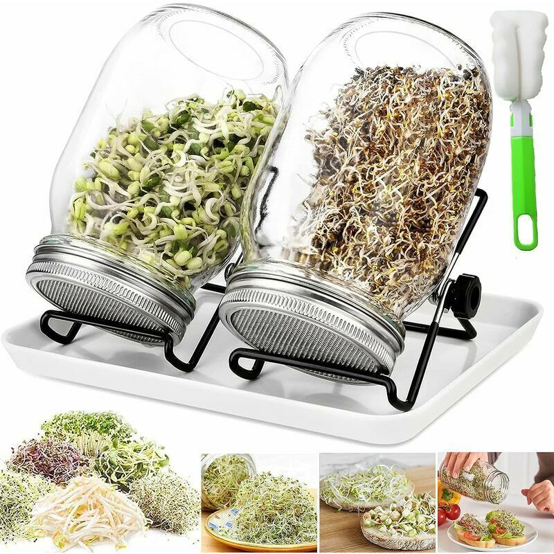 Bocaux à Germer De, 750 ml Germoir en Verre avec, Germoir pour Graines à Germer, 2 Grilles, 2 Supports, 1 Bol De Germination, Bocal à Germes pour