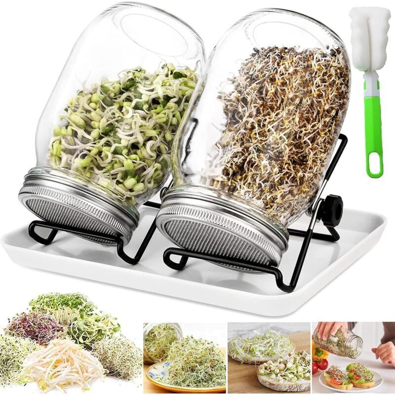 Bocaux à Germer De, 950 ML Germoir en Verre avec, Germoir pour Graines à Germer, 2 Grilles, 2 Supports, 1 Bol De Germination, Bocal à Germes pour