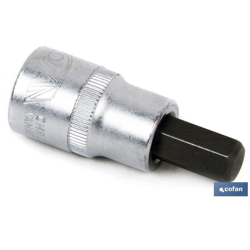 Punta corta da 1/2 tazza H-10