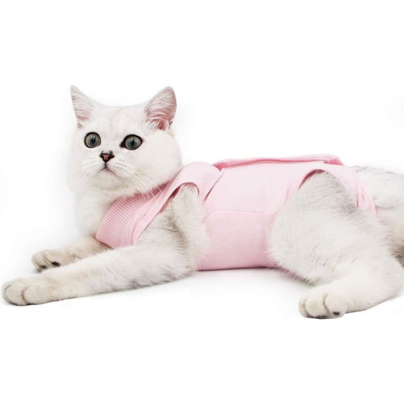 Body post-opératoire pour chat après stérilisation, taille M, couleur rose, conception améliorée avec système anti-évasion