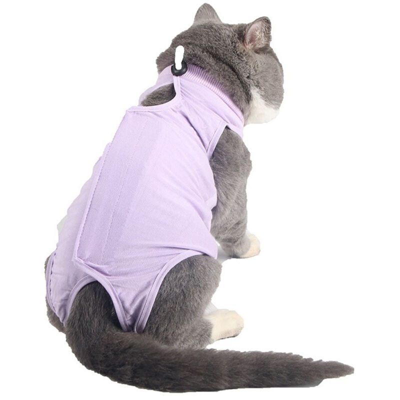Body post-stérilisation pour chat, taille M (tour de poitrine 34-40 cm, recommandé pour 2-4 kg), couleur violette, modèle anti-évasion amélioré