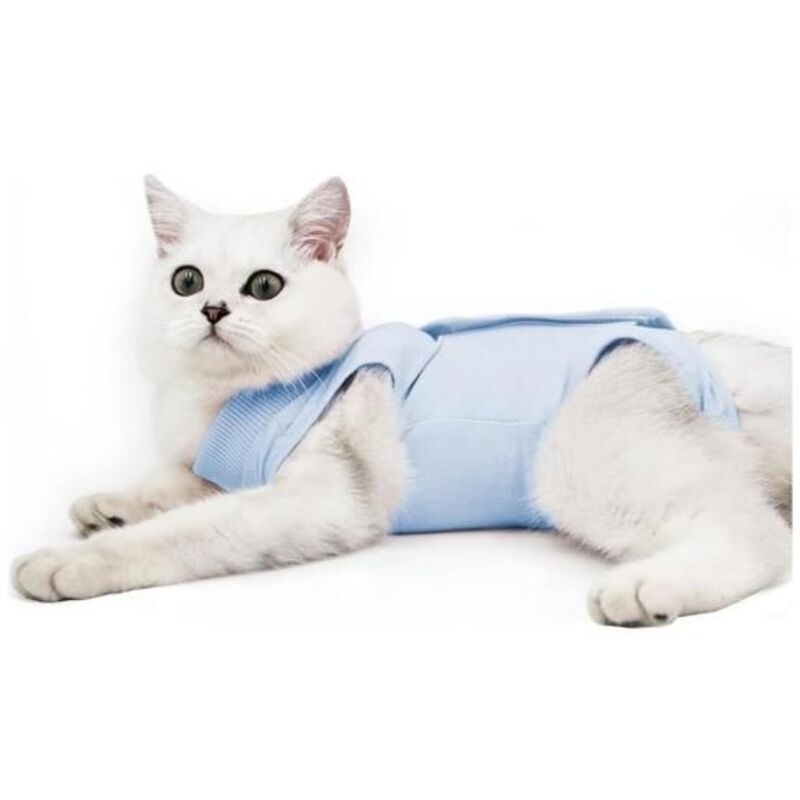 Body pour chat après chirurgie, vêtements anti-léchage (M, bleu)
