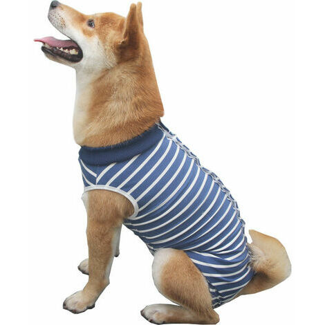 Body pour chien post-opératoire Body pour chien stérilisé pour femme Body pour chien neutre Body médical pour chien Costumes pour chiens Alternatives aux colliers de chien