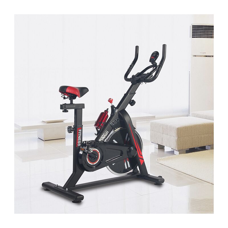 bodytrain racer exercise bike