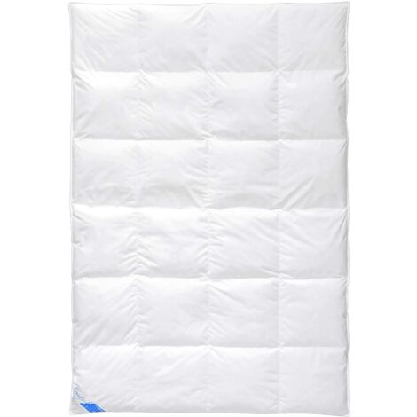 Böhmerwald 309601-20 Piumone con Cuscinetti Interni 4.0 cm, 155x220 cm