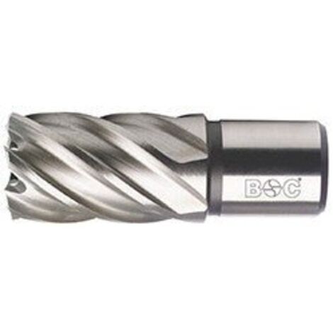 Bohrcraft 19500301725 - Bohrcraft Broca hueca HSS Weldon // 17,0 x 30 mm BC-QP