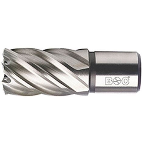 Bohrcraft 19500302725 - Bohrcraft Broca hueca HSS Weldon // 27,0 x 30 mm BC-QP