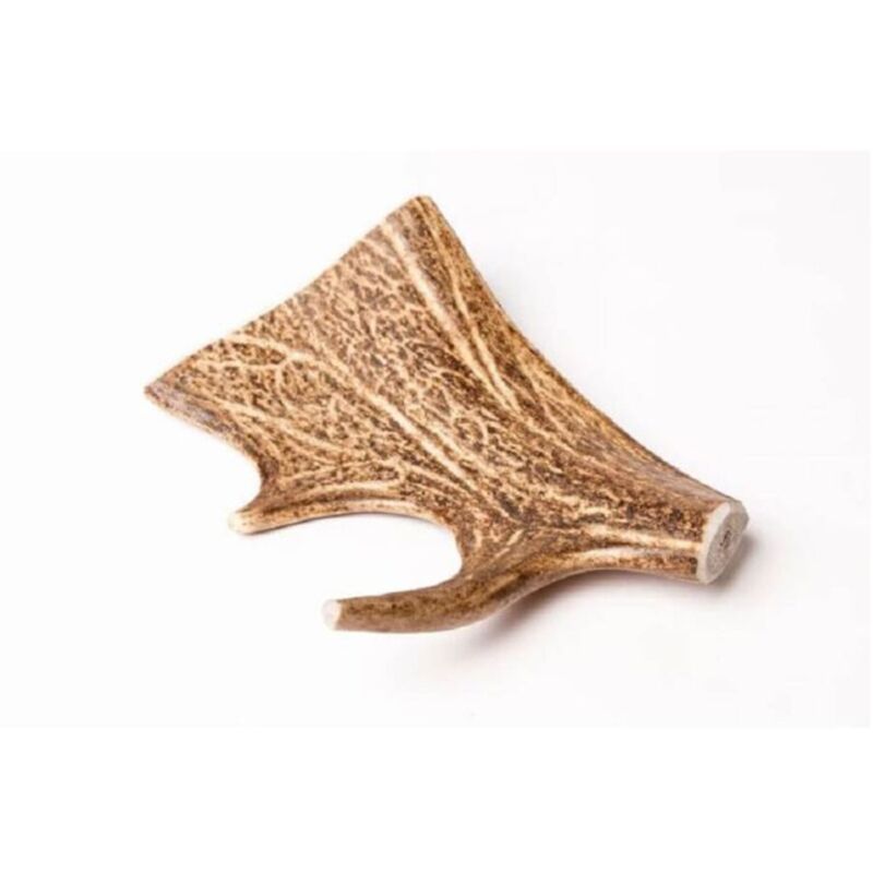 Bois de daim Bubimex