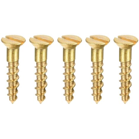 Bois Vis M2 x 10mm Fendu Plat Tête Laiton Autotaraudant Vis 100 Pcs