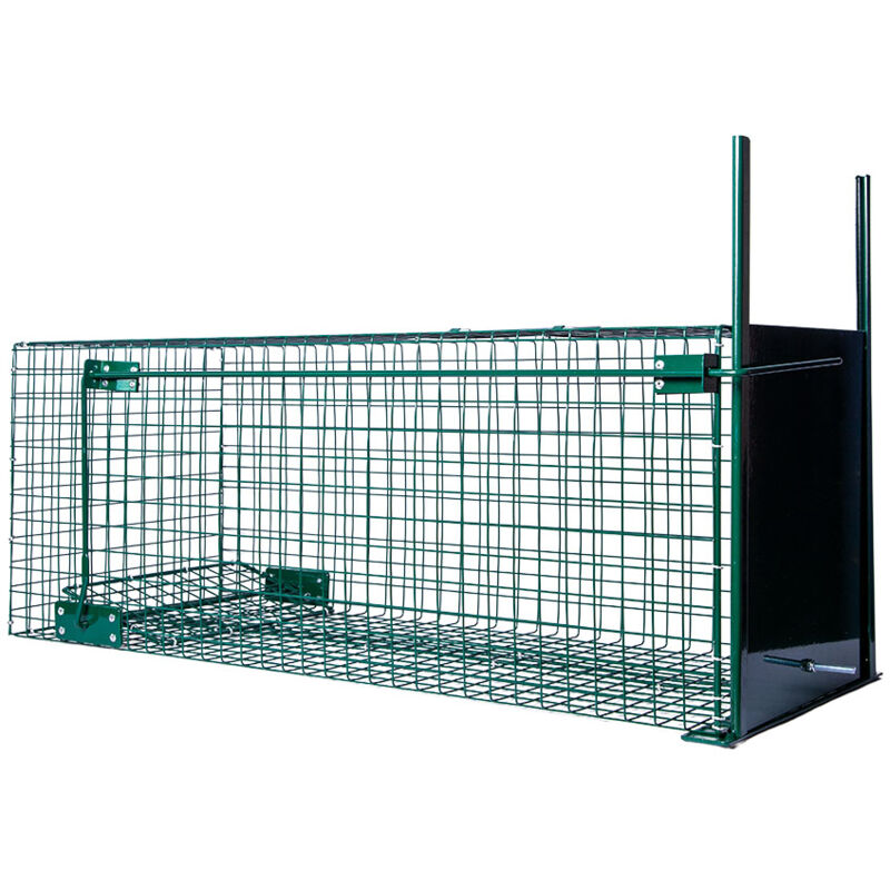Boxtrap - boîte à fauve, 1 entrée, 82 x 32 x 31...