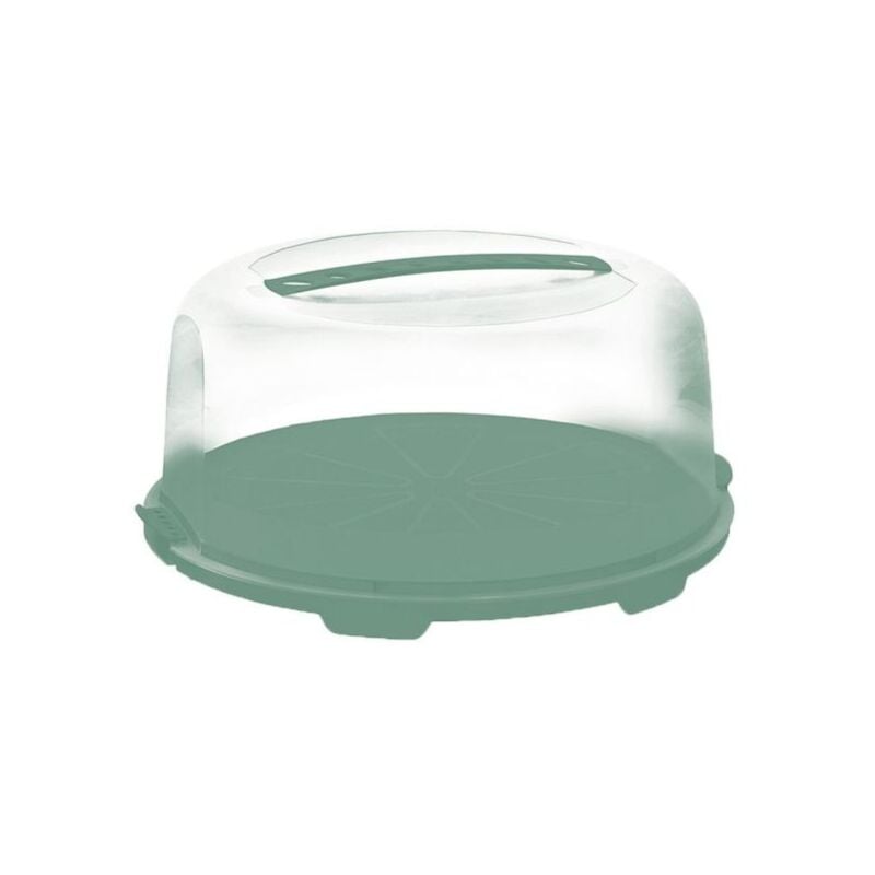 Boîte à gâteaux Rotho Fresh High Mistletoe Green