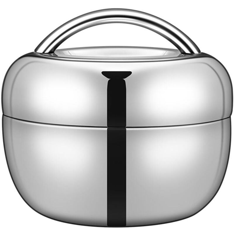 Feiyue - Boîte à lunch à double couche, récipient alimentaire portable, boîte à bento en acier inoxydable (1300 ml)