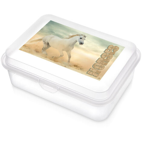 Boîte à lunch transparente pour chevaux 750 ml
