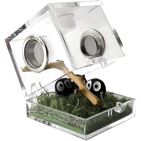 Boîte d'alimentation pour insectes, boîte d'élevage en acrylique transparent pour reptiles et araignées