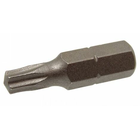 Boîte de 10 embout Torx T 15/25 - ACTON - 3604015/25