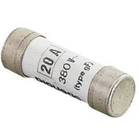 Boîte de 10 fusibles GF 8X31 20A à voyant - LEBENOID - 066120