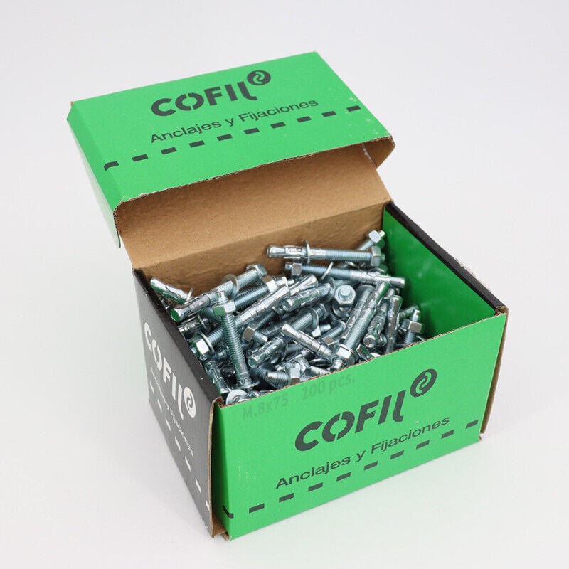 Boite de 100 Goujons d'ancrage métallique M.8x75mm