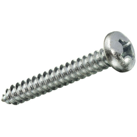 Boîte de 20 unités de vis à tôle autotaraudeuse à tête ronde en zinc 3,9x9,5mm Fadix