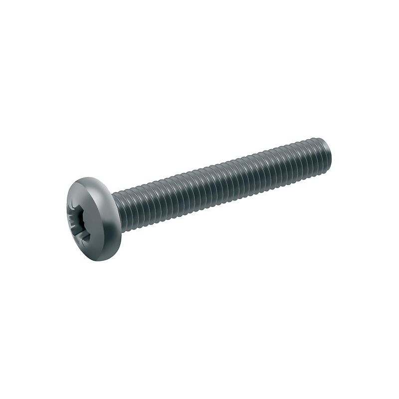 Vis métaux tête cylindrique pozidriv inox A2 - din 7985, diamètre 6 mm, longueur 10 mm, boîte de 200 vis Acton