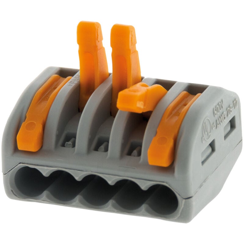 Wago - Boîte de 40 bornes 5 entrées série 222