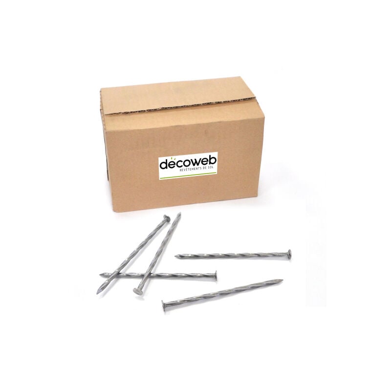 Boîte de 5 kg de clous torsadés (environ 190 clous) pour gazon synthétique