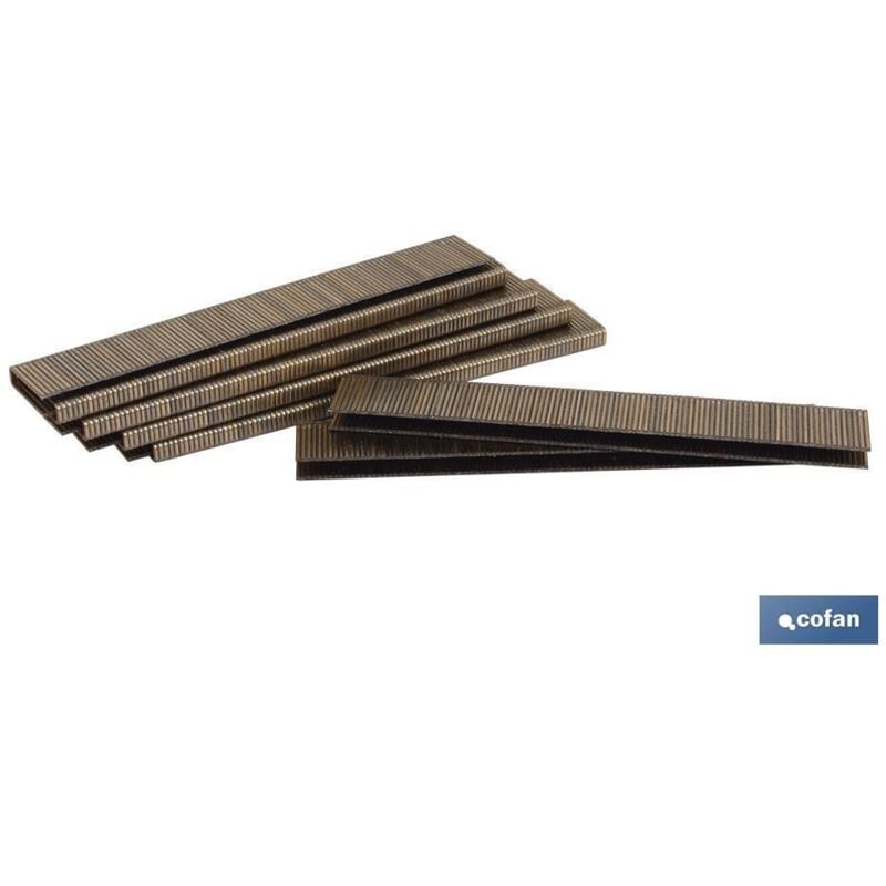 Cofan - Boîte d'agrafes 90/20 mm (5 000 pièces)